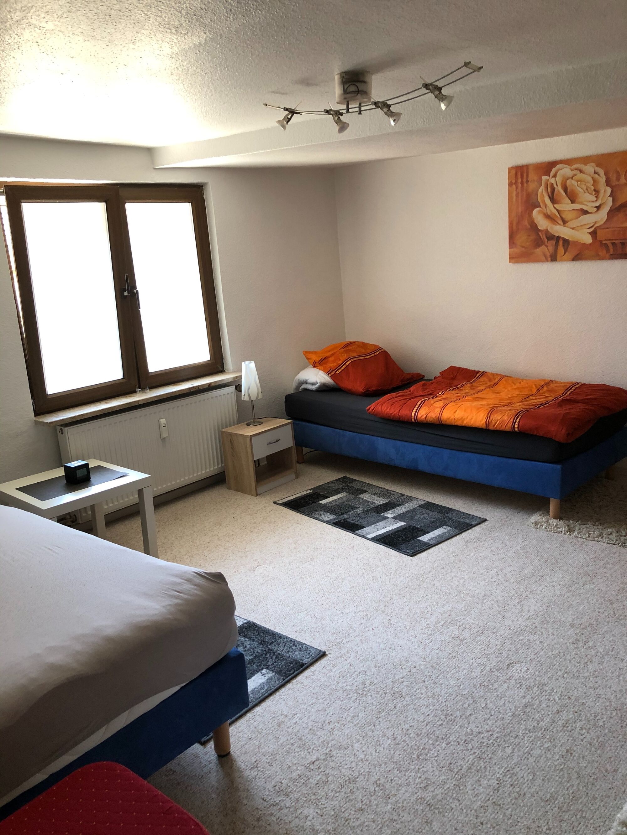 Bild 5 Bild 5