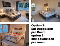 option 2 option 2
