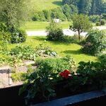 Saierhof Buchenbach Picture 10 Saierhof Buchenbach Picture 10