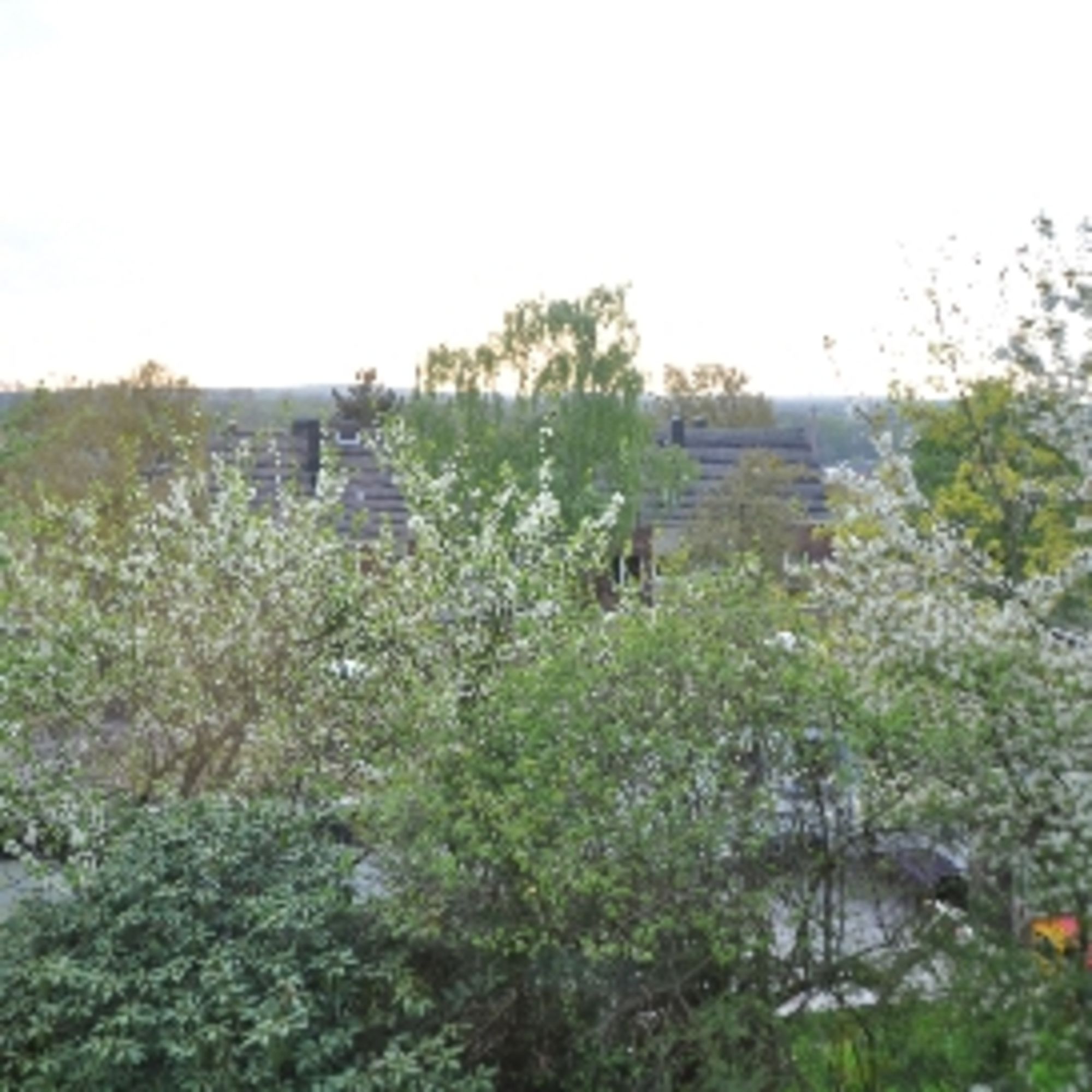 Obrázok 5 Obrázok 5