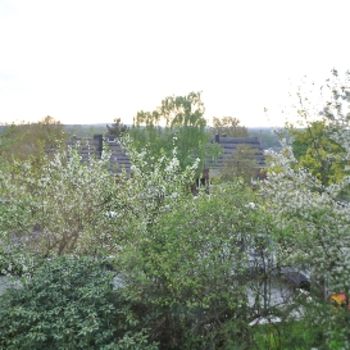 Wohnung in Privatbungalow Bild 5 Wohnung in Privatbungalow Bild 5