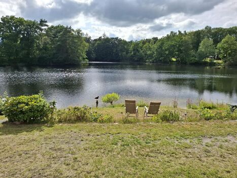 Ferienhäuschen blauer See Bild 5 Ferienhäuschen blauer See Bild 5