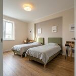 🔧 HandwerkerHof Picture 1 🔧 HandwerkerHof Picture 1