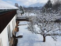 Gamsei Obrázok 7 Gamsei Obrázok 7