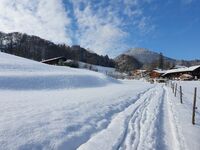 Gamsei Obrázok 15 Gamsei Obrázok 15