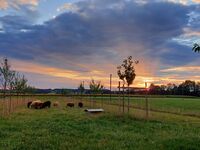 Sonnenuntergang Sonnenuntergang