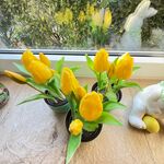 Gästezimmer Familie Fischer Bild 16 Gästezimmer Familie Fischer Bild 16