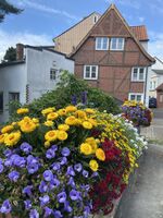 Lütt Hus für bis zu 9 Mitarbeiter in Preetz - nah bei Kiel Zdjęcie 1 Lütt Hus für bis zu 9 Mitarbeiter in Preetz - nah bei Kiel Zdjęcie 1