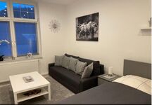 Wohnung 2: 1 Doppelbett (Schlaf-/Wohnzimmer) Wohnung 2: 1 Doppelbett (Schlaf-/Wohnzimmer)