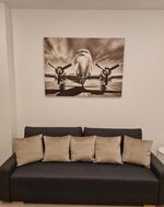 Wohnung 1: Wohnzimmer Wohnung 1: Wohnzimmer