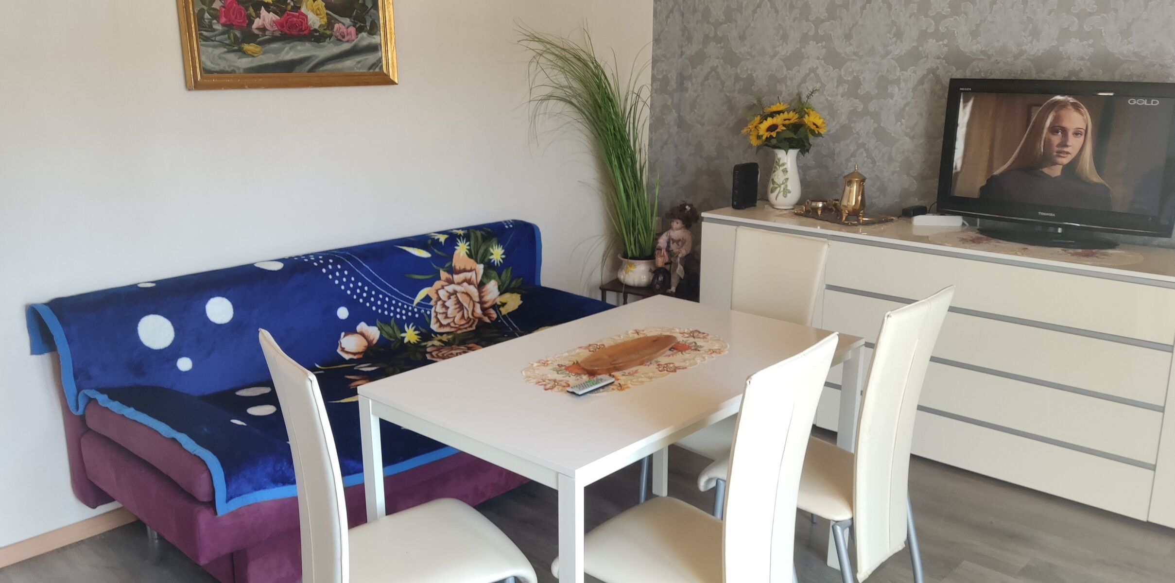 Wohnzimmer mit Schlafsofa Wohnzimmer mit Schlafsofa