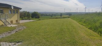 Rasen/Garten vor der Wohnung Rasen/Garten vor der Wohnung