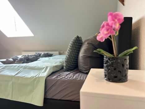 Wohnung Uferstraße 2 Picture 3 Wohnung Uferstraße 2 Picture 3