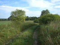 Ferienwohnung Wroblewsky Bild 16 Ferienwohnung Wroblewsky Bild 16