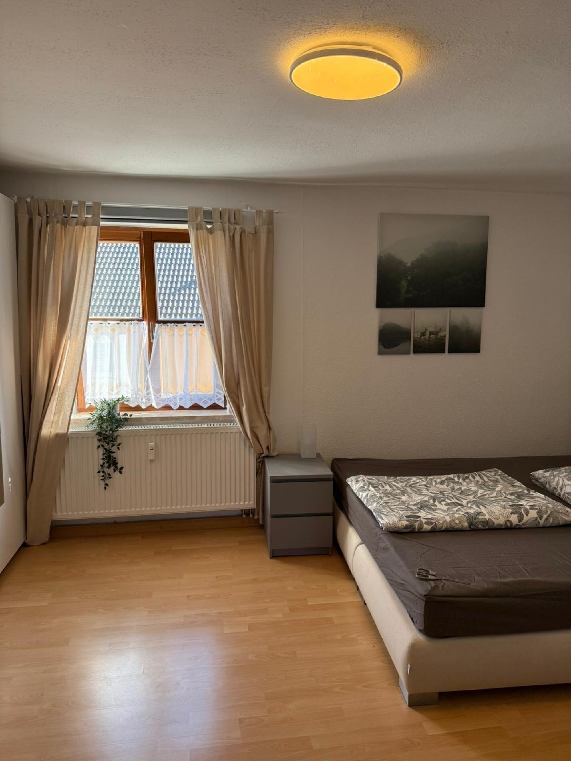 Bild 1 Bild 1