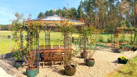 Remise beim Sophienschlösschen nähe Berlin Picture 15 Remise beim Sophienschlösschen nähe Berlin Picture 15