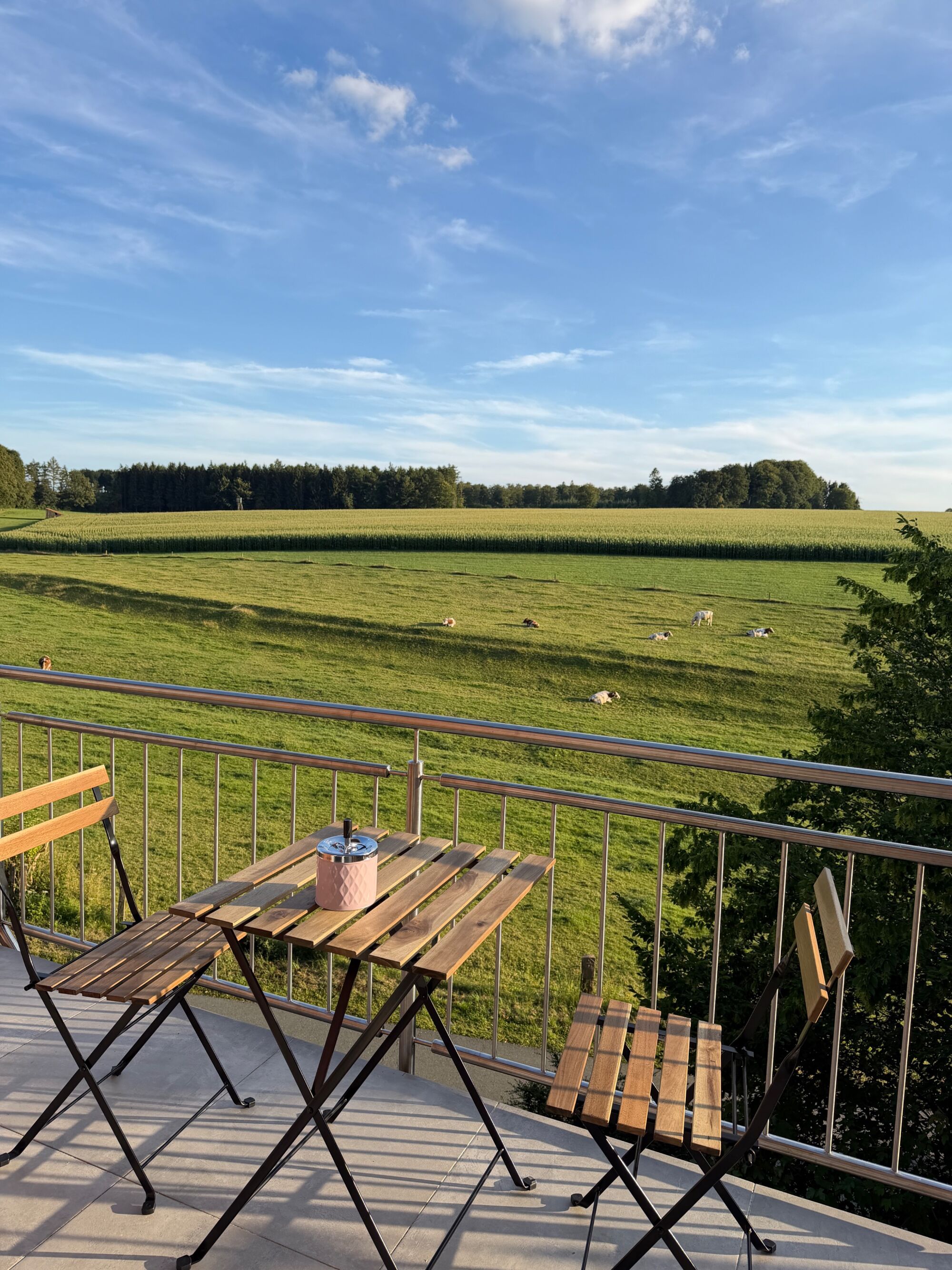 Bild 2 Bild 2