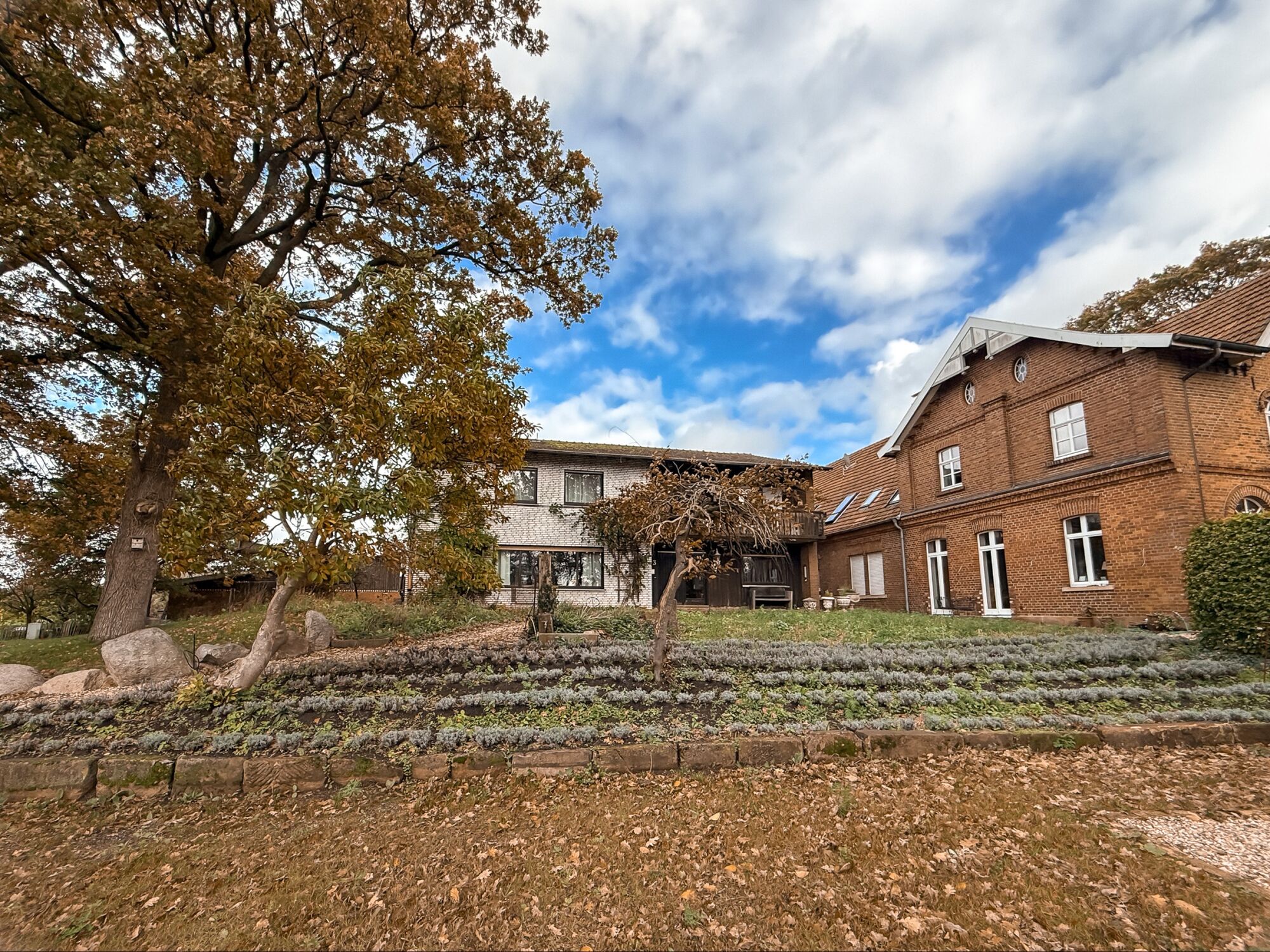 Zdjęcie 1 Zdjęcie 1