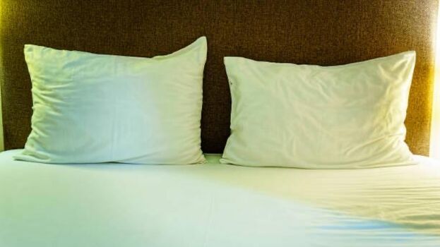 FeWo in Zwickau FeWo in Zwickau