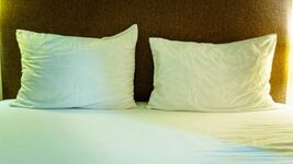 FeWo in Zwickau Bild 1 FeWo in Zwickau Bild 1