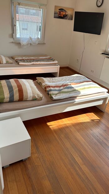 Magnolia Garden Magnolia Garden