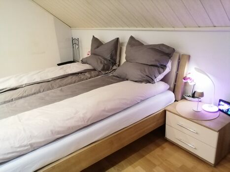 Alex- Wohnraum Vermietung Alex- Wohnraum Vermietung