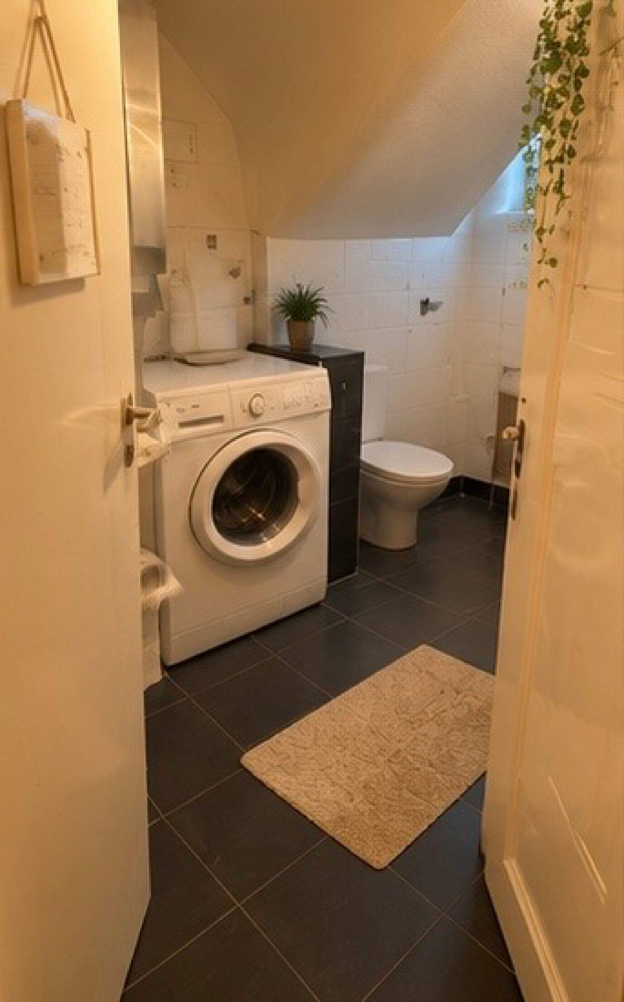 Bild 5 Bild 5