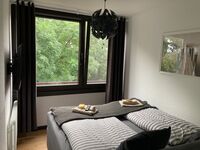 Lüttke Stoben am Steinhuder Meer Bild 8 Lüttke Stoben am Steinhuder Meer Bild 8