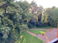 Lüttke Stoben am Steinhuder Meer Bild 16 Lüttke Stoben am Steinhuder Meer Bild 16