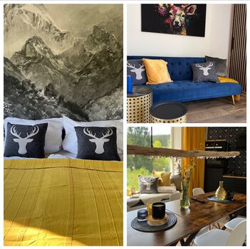 Ferien Wohnung Monteur Handwerker Unterkunft 8 Betten Cham Viechtach Bild 2 Ferien Wohnung Monteur Handwerker Unterkunft 8 Betten Cham Viechtach Bild 2