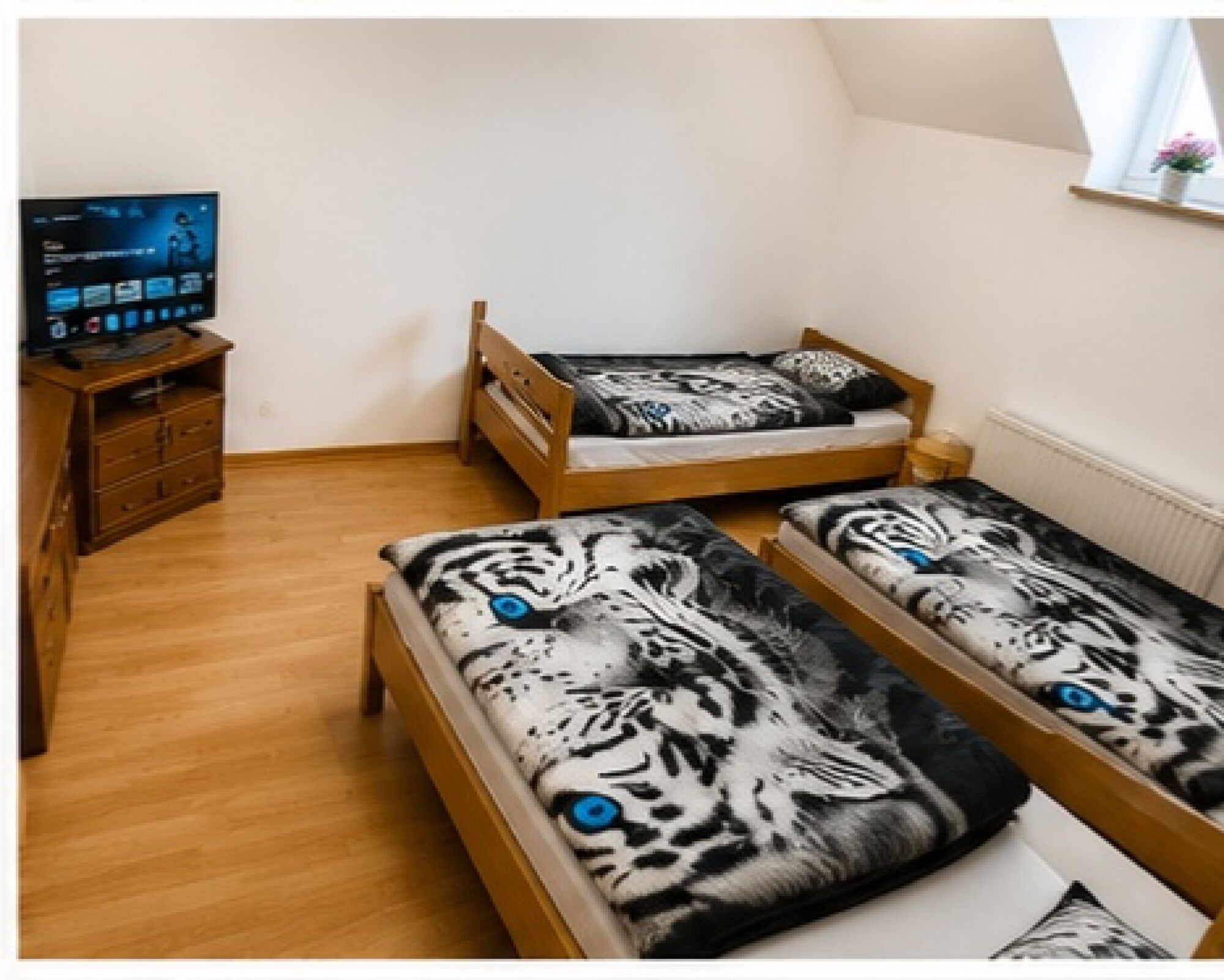 Bild 4 Bild 4