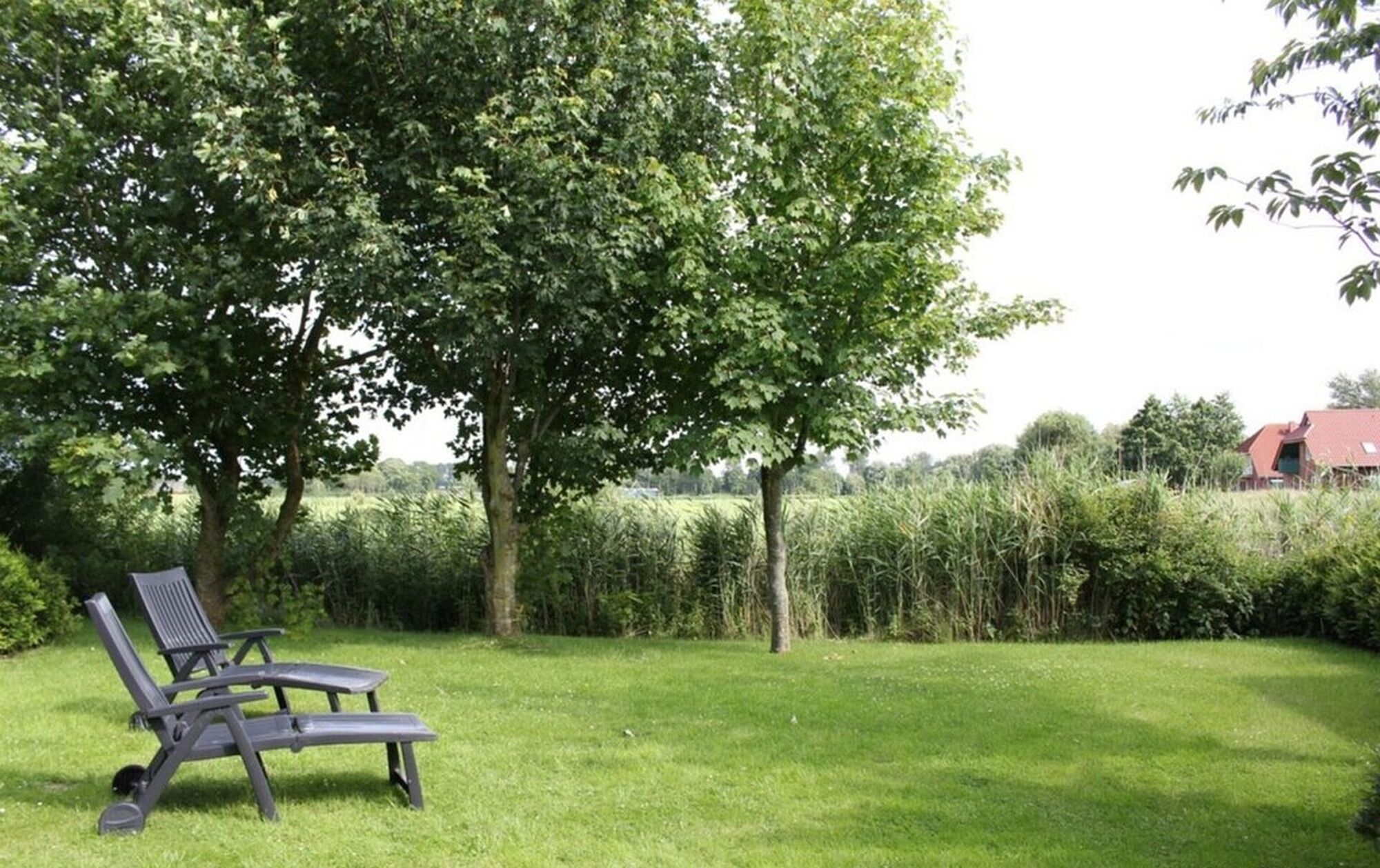 Zdjęcie 2 Zdjęcie 2