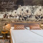 Hotel Korth Bild 7 Hotel Korth Bild 7