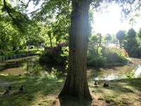 Ferienwohnung in Bad Oldesloe Obrázok 19 Ferienwohnung in Bad Oldesloe Obrázok 19