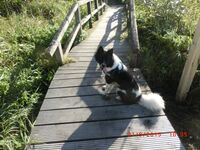 Ferienwohnung in Bad Oldesloe Obrázok 17 Ferienwohnung in Bad Oldesloe Obrázok 17