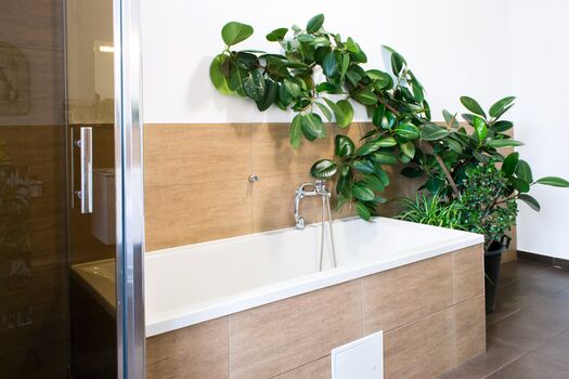 Gwuni Mopera Bild 4 Gwuni Mopera Bild 4