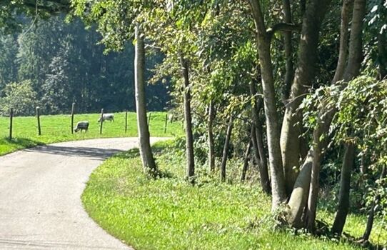 Natur Pur Maximilian Zdjęcie 5