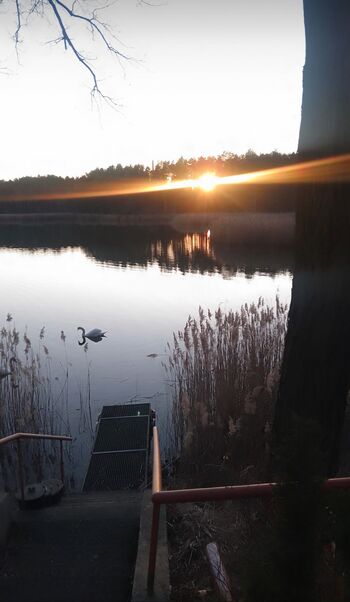 Pension Waldhaus Bild 2