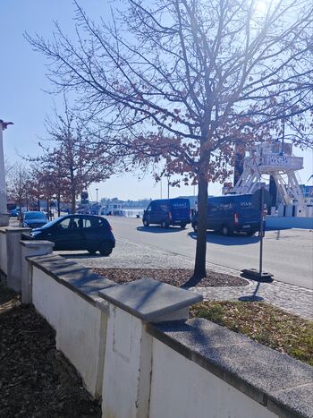 An der Hafenkante Usedom Bild 2