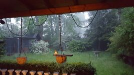 Behagliches Haus mit Kamin und Wärmepumpe Bild 2