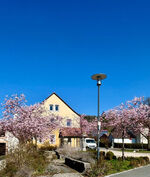 Steigerwald Ferienwohnungen Hofmann Bild 13