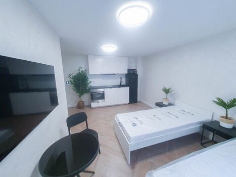 ALFA APARTMENTS / Stuttgart Bosch/Porsche - SOFORT VERFÜGBAR Bild 2