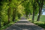 K357 - Staffboarding - Personal- und Monteurzimmer Picture 6