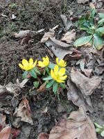 Gartennutzung erwünscht!