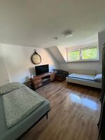 Smart TV und WiFi inklusive