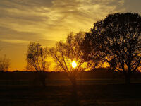 Fewo Rundum Natur Bild 11