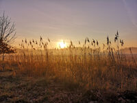 Fewo Rundum Natur Bild 14