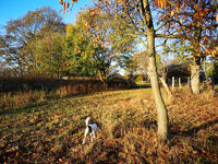 Fewo Rundum Natur Bild 13