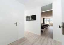 Easy Apartments 24 I BR11 8 Betten Wohnung in Wehen Picture 11