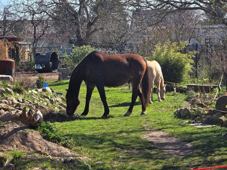 Monteurzimmer, Ferienwohnung, Remote-Arbeitsplatz, Wanderrei Obrázok 1